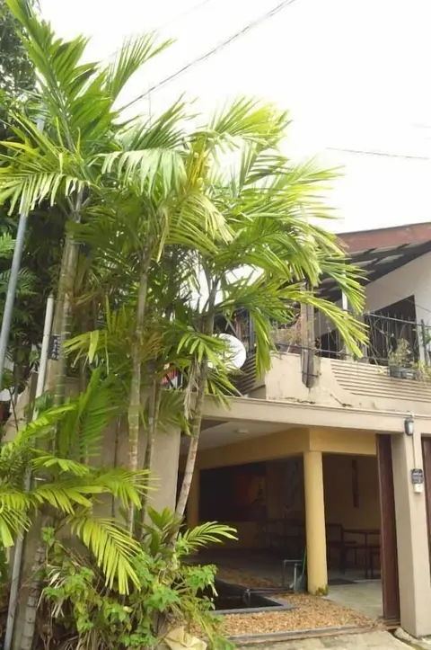 Drop Inn Colombo