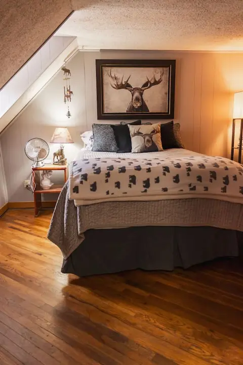 Moose Room Rustic Colorado Lodge Escape