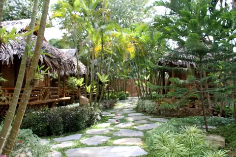 Nativo D' Kubo