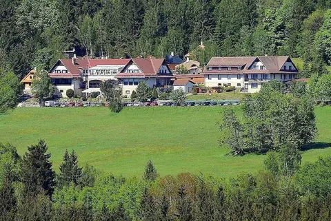 Hotel Podlesí