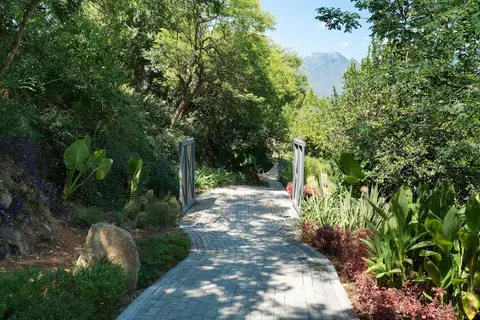 Gamma Rincón de Santiago