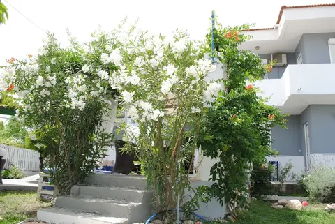 Karmik Concept Apartments