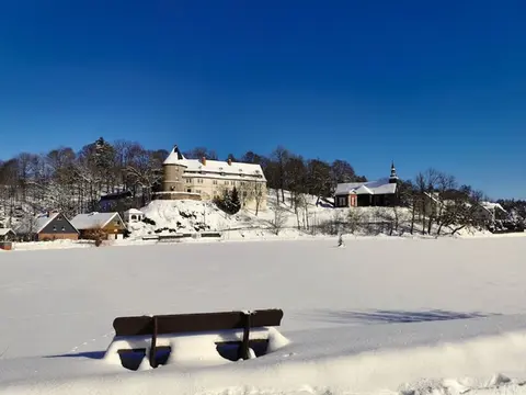 Come to This House to Stay for Holidays