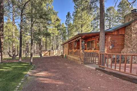 Family & Dog Friendly: Rustic Lakeside Cabin