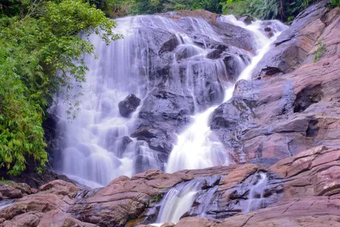 Sinharaja Forest Gate