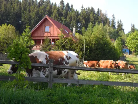 Agroturystyka U Baltazara