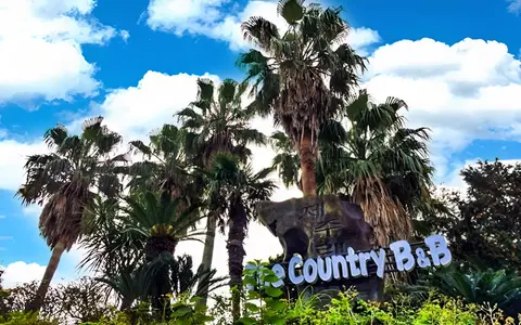 Seoguipo The Country B&B Pension
