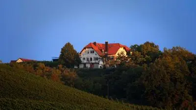 Kirschberghof Gästehaus und Weinverkauf