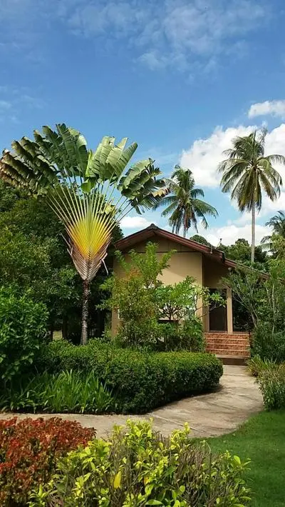 Bansuanrachawadee B&b