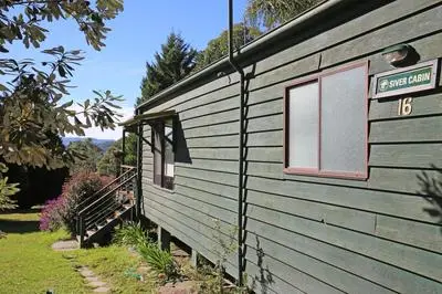 Siver Cabin