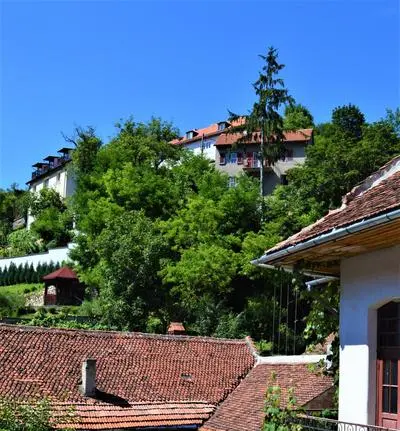 Eco Studio