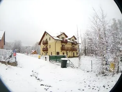 Sasanka