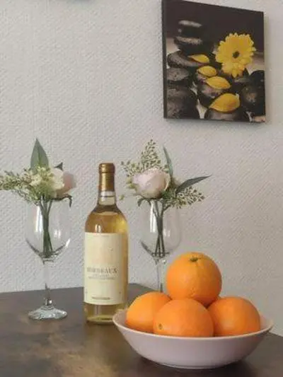 Apartment for Guests (2)
