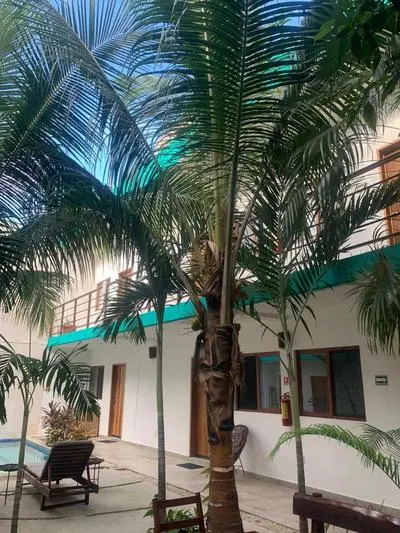 Los Arcos Hotel - TULUM