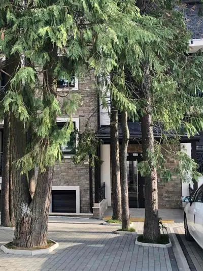 Apartman Square 11 Zlatibor