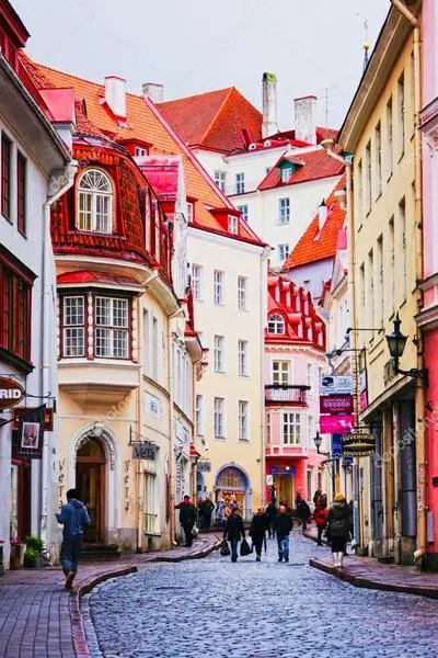 Tallinn Housing Old Town Homes - 1 BDR Apartment in Pikk Jalg