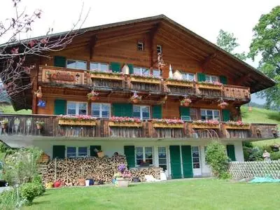 Chalet Burgstein, Wohnung Enzian