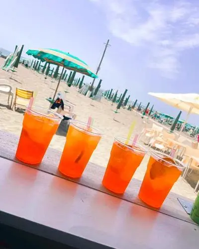 La Chiocciola Beach Apartment Rome Ostia near Fiumicino