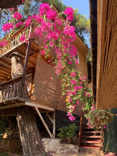 Large Bungalow with Sea View in Kabak Bay, Ölüdeniz