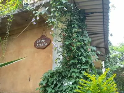 White Arcadia cottage