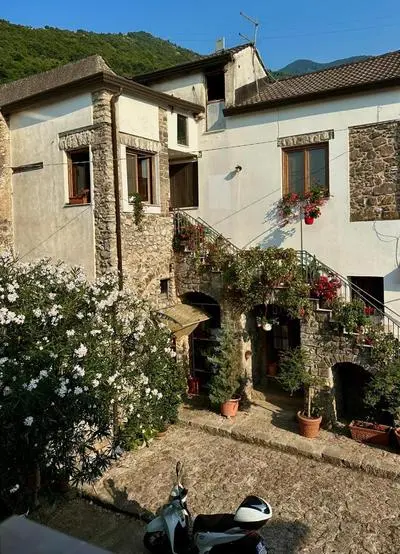 Lux Domus