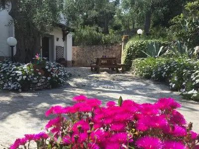 Azienda Agricola B&B Macchiaria