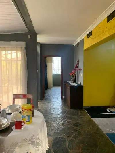 homy appartment