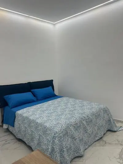 Minerva Holiday House