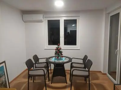 Apartment Aleksandar BL