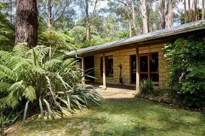 The Fernglen Forest Retreat