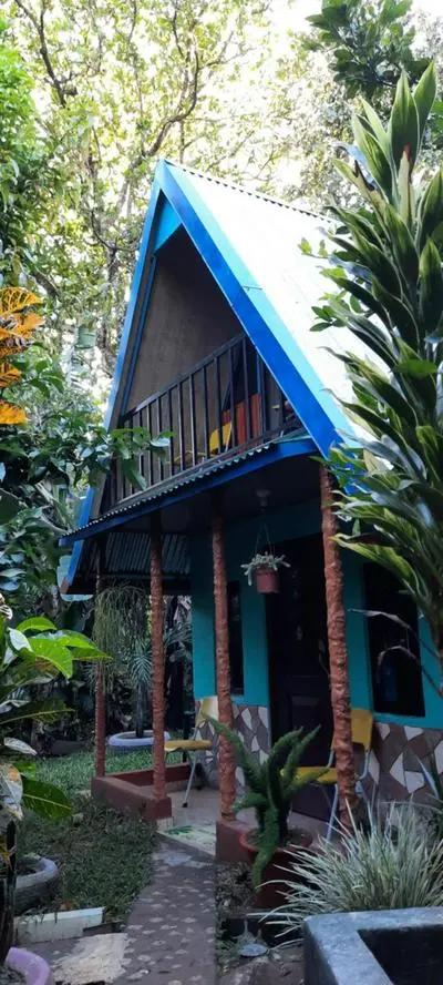 Cabaña bosque verde
