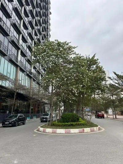 Duplex Apartment at PentStudio Westlake - 2H Homestay