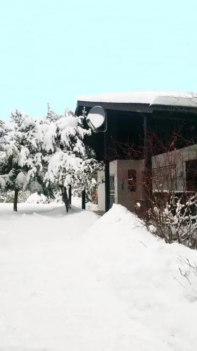Chalet BERGgrün Willingen - Nähe Skywalk