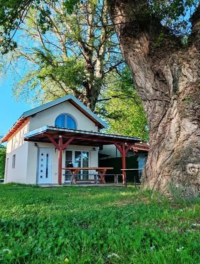 Dadula na Dunavu