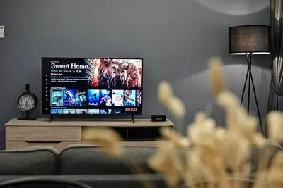 Kuching Vivacity Jazz 4-Netflix