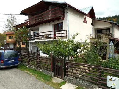 Vila Nik Busteni