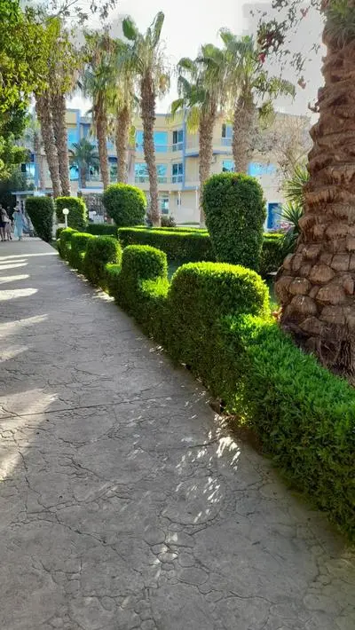 Mirage bay hotel Beach and aqua park #apartment