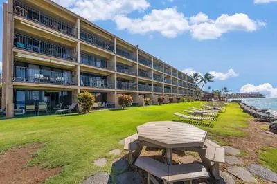 Kaleialoha 208