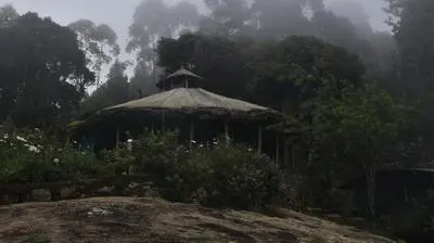 Campper Campwoody Munnar