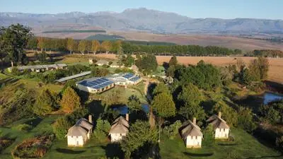 Ardmore Guest Farm