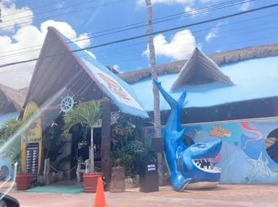Casa Azul, llena de vida con Alberca