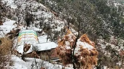Jannat Hills - Camps Dhrarmshala