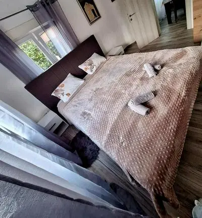 the Right Choice Apartment