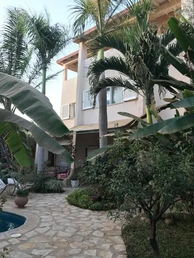 tropical oasis