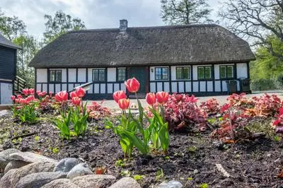 Awesome Home In Ebeltoft With 3 Bedrooms And Internet