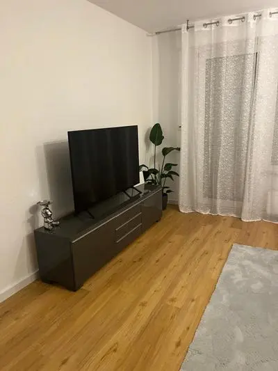 2 Rooms Airport Apartment