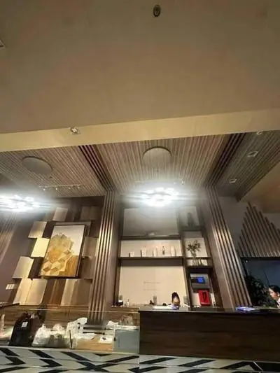 Villahermiastaycation Cebu - The Persimmon Studio