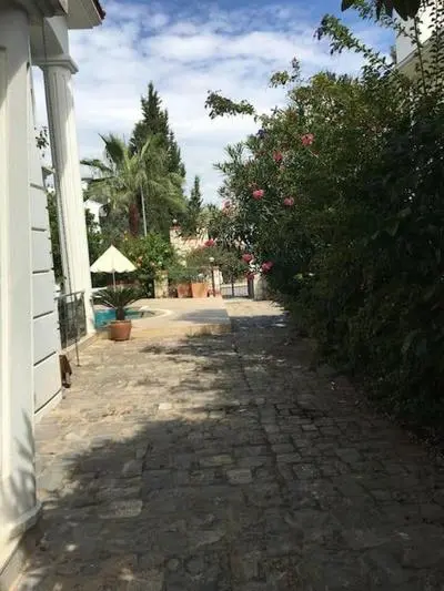 Palm Villa
