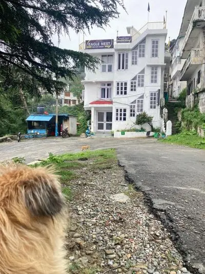 Hotel Eagle Nest central heated