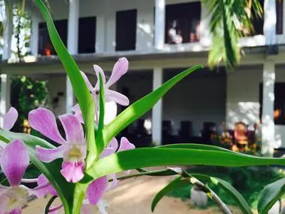 Sigiri Rainbow Lodge